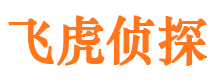 大关捉小三公司